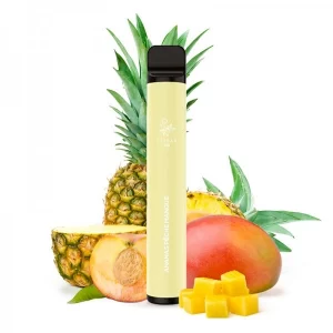 kit-600-puffs-ananas-peche-mangue-elf-bar (1)