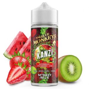 kanzi-twelve-monkeys