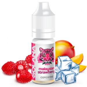 concentre-malaysian-strawberry-solana